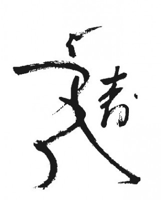 karate classes samurai karate hout bay
